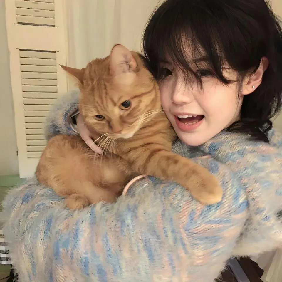 许你年年岁岁好